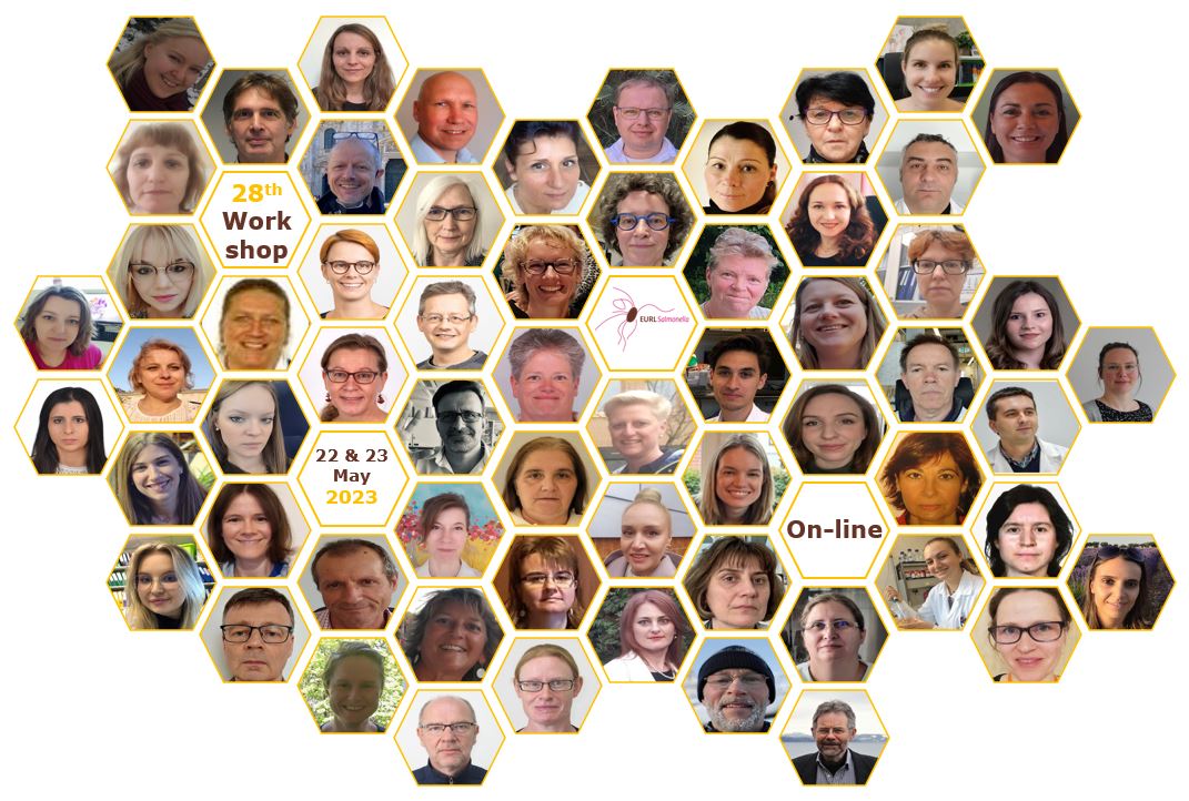 Final Group Picture online participants EURL-Salmonella Workshop 2023
